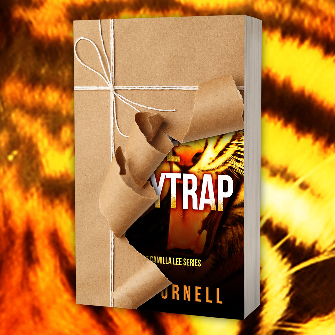 The Honeytrap ebook